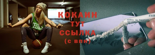 спиды Михайлов