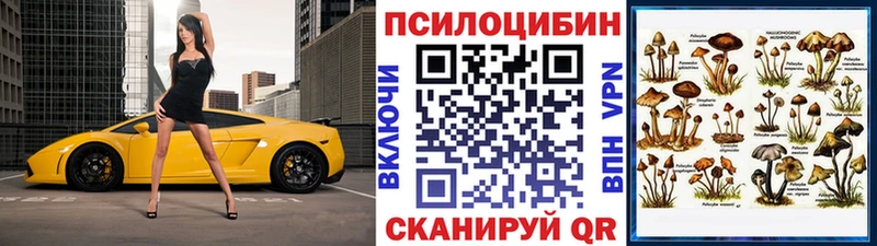 Псилоцибиновые грибы GOLDEN TEACHER  Купить где  Людиново 