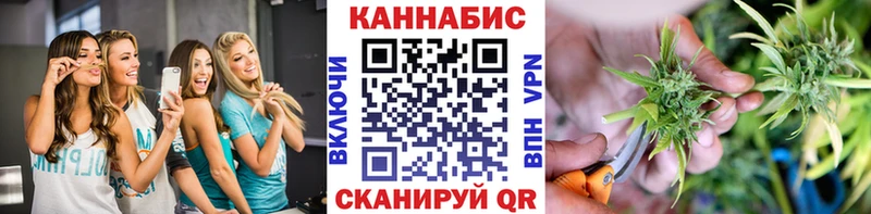 Купить закладки  Людиново  Конопля семена 